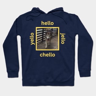 Husky Walking Yellow Hello Jello Chello Hoodie